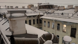 В центре Петербурга рыжий кот неделю не может выбраться из дымохода — ему пытаются помочь