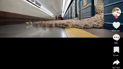 «Топ, топ, топ» или ролики с поющими ежиками в петербургском подземелье: вирусное видео
