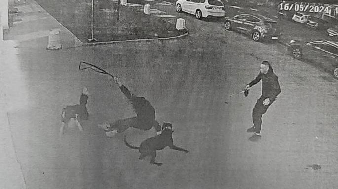 Команду «Фас» давал и свободу с Бесом потерял: суд Петербурга конфисковал злую собаку и посадил хозяина