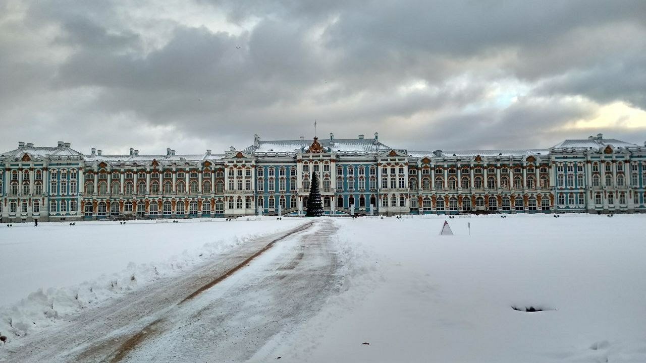 В Царском селе увеличили скорость мобильного интернета