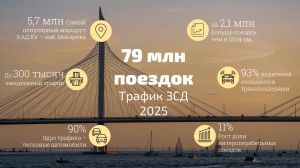 Водители в 2025 году 79 млн раз пользовались ЗСД
