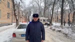 В Волхове полиция разбирается в ДТП с деревом и мертвым водителем