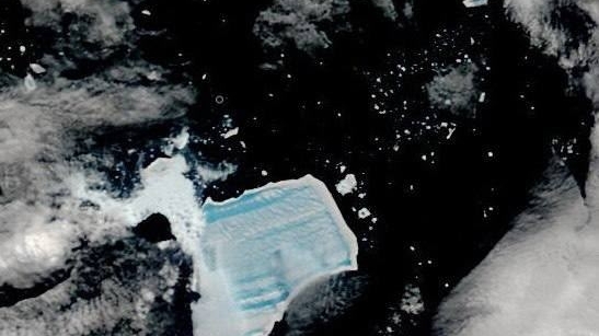 Наблюдавшие 40 лет за айсбергом А23а петербургские ученые сделали важное заявление