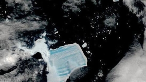 Наблюдавшие 40 лет за айсбергом А23а петербургские ученые сделали важное заявление