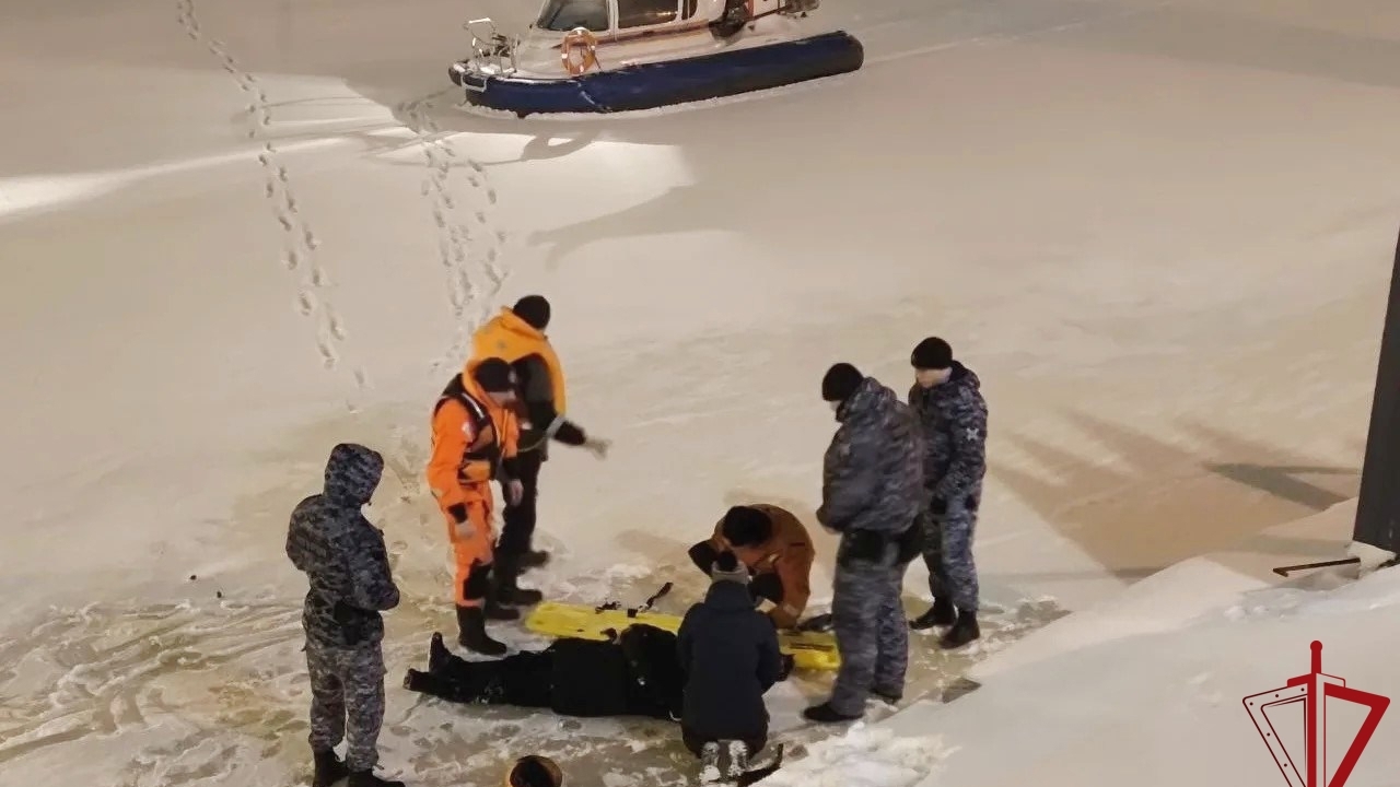 Пьяный везунчик упал с моста на лед Невы возле Петропавловки и остался жив