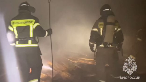 В Ленобласти спасатели вытащили из огня десяток блеющих бедолаг