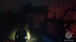 Спасатели нашли погибших питомцев в охваченном огнем доме под Петербургом