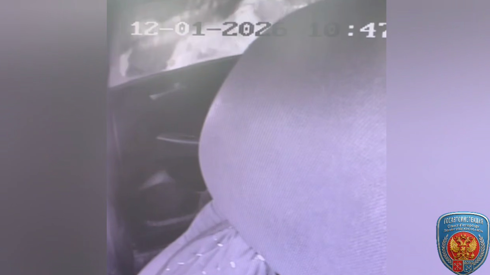 На Заводской дама пьяного водителя набросилась на инспектора, защищая любимого: теперь ей грозит уголовка