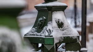 Стало известно, кто получит 8 млн за чистку оград и памятников в Петербурге