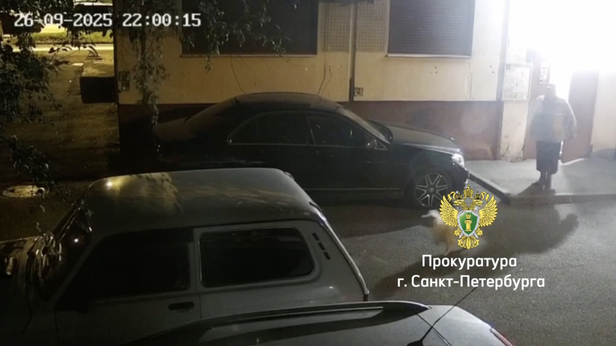 В Петербурге собачница ответит за Mercedes, поцарапанный из-за парковки у парадной