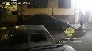 В Петербурге собачница ответит за Mercedes, поцарапанный из-за парковки у парадной