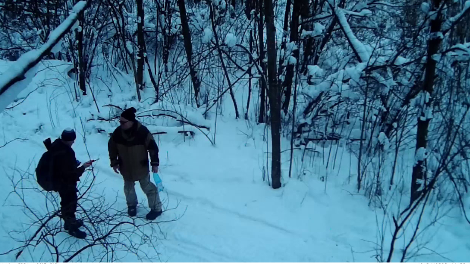 В петербургских лесах задержали браконьеров с собаками и ружьем