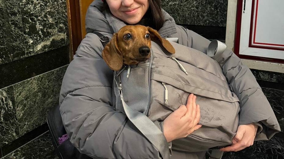 Петербург — город встреч и расставаний: история таксы Дарси и ее хозяйки