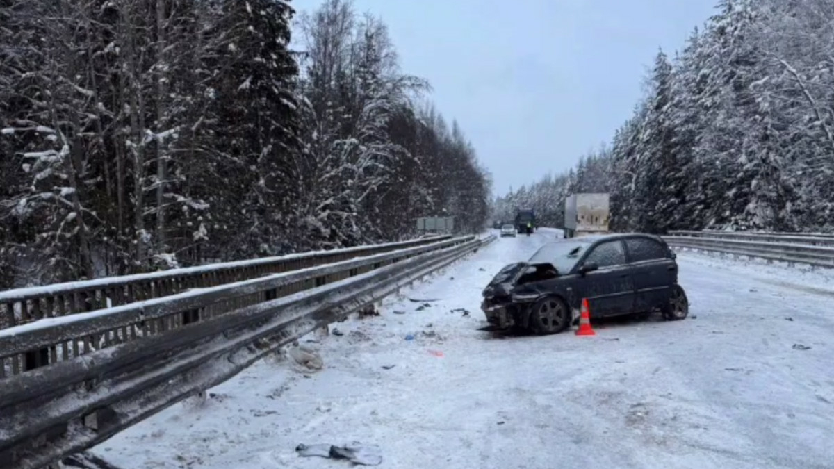 На трассе «Вологда — Тихвин — Р21 «Кола» водитель Opel Corsa устроил ДТП и погиб