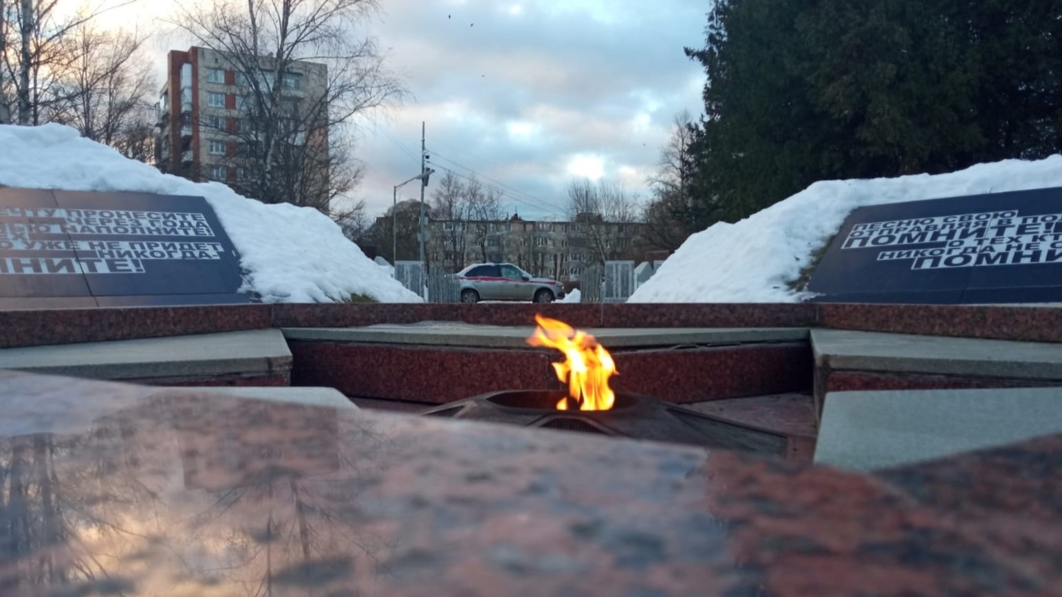 Рецидивистка украла цветы с Вечного огня в Киришах, но попалась Росгвардии