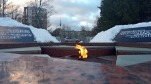 Рецидивистка украла цветы с Вечного огня в Киришах, но попалась Росгвардии