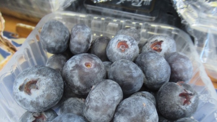 В Петербург доставили свыше 13 тонн перуанской ягоды с личинкой вредоносного насекомого