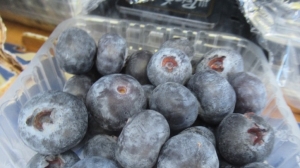 В Петербург доставили свыше 13 тонн перуанской ягоды с личинкой вредоносного насекомого