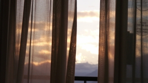 Взяла в долг 15 млн у знакомых на шторный бизнес и поняла, что уже всего добилась: петербурженку ждет суд