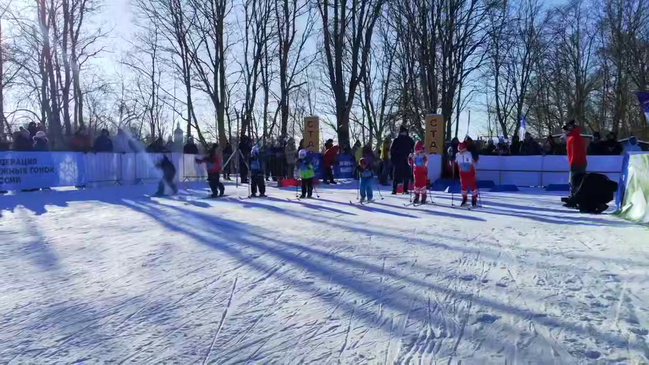 Профессионалы и любители участвуют в «Лыжне России» в Петербурге и Ленобласти