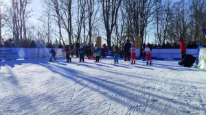 Профессионалы и любители участвуют в «Лыжне России» в Петербурге и Ленобласти