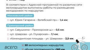 Комитет по транспорту создал 50 велодорожек для петербуржцев
