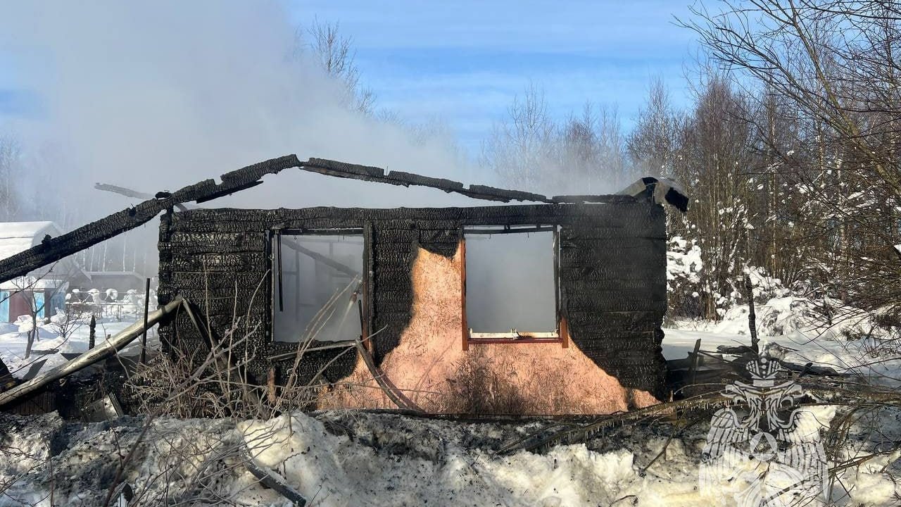 В Ленобласти хозяйка пылающего огнем дома сожгла себе руки и лицо