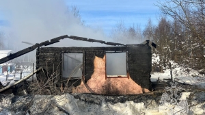 В Ленобласти хозяйка пылающего огнем дома получила ожоги лица и рук