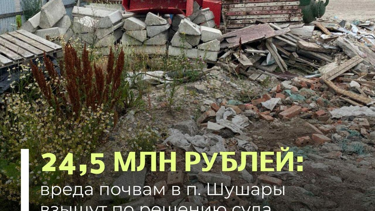 Петербуржцы заплатили больше 24 млн рублей за 780 тонн опасных отходов в Шушарах