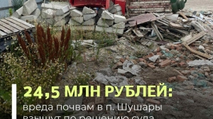 Петербуржцы заплатили больше 24 млн рублей за 780 тонн опасных отходов в Шушарах