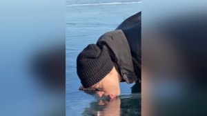 «А это вкусно»: SHAMAN эротично вылизал Байкал — видео взорвало соцсети