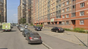 Губители природы «на колесах» заплатили Петербургу миллионы рублей: как делать не надо?