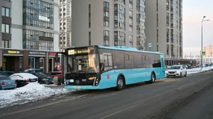 Жители новостроек в Парголово смогут доезжать до метро без пересадок