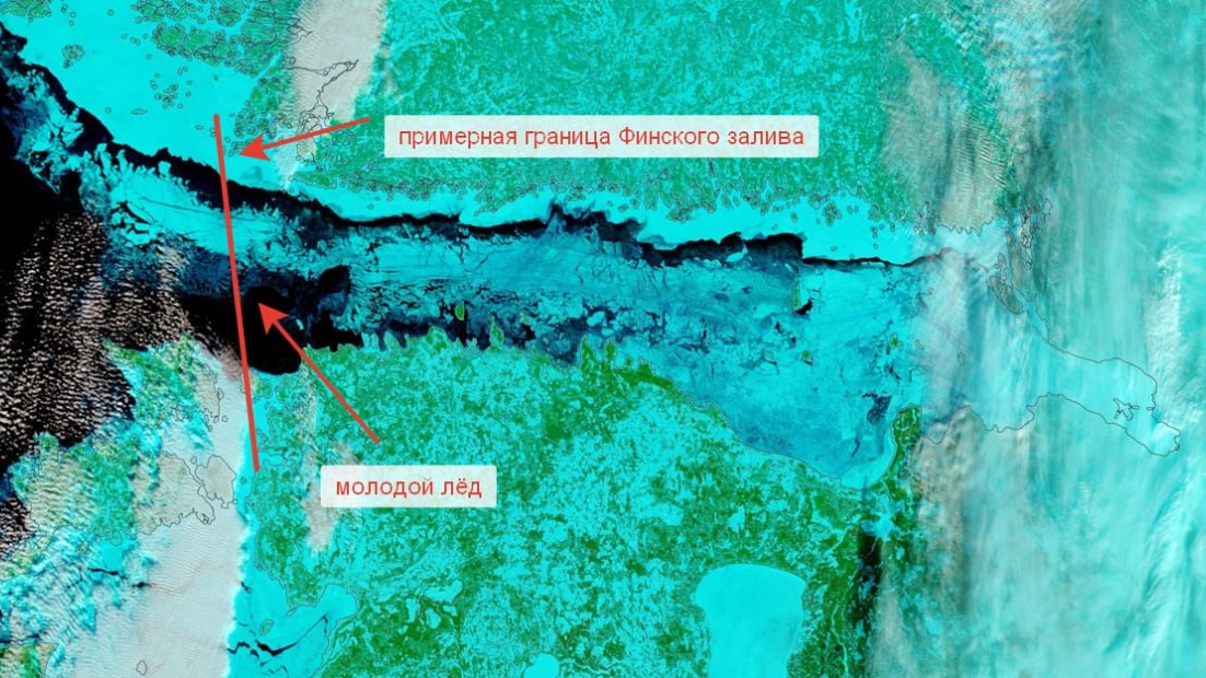 Финский залив замерз полностью впервые за 15 лет