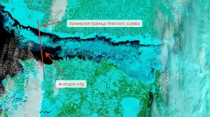 Финский залив замерз полностью впервые за 15 лет
