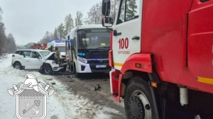 Зажало металлом: в Ленобласти спасатели вытащили из легковушки двоих пострадавших после ДТП с автобусом
