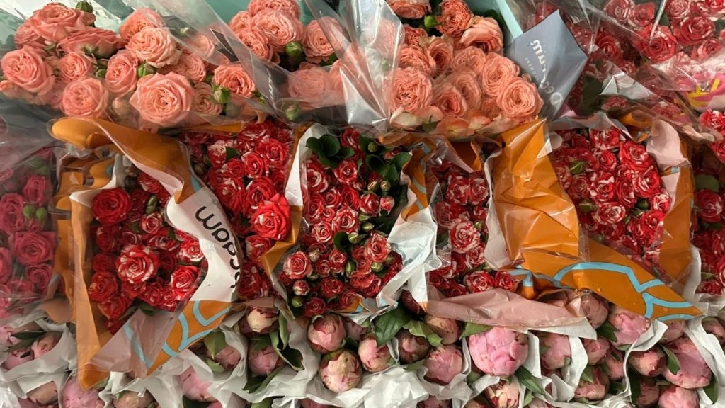 В Россельхознадзоре рассказали, сколько зараженных цветов приехало в Петербург за январь