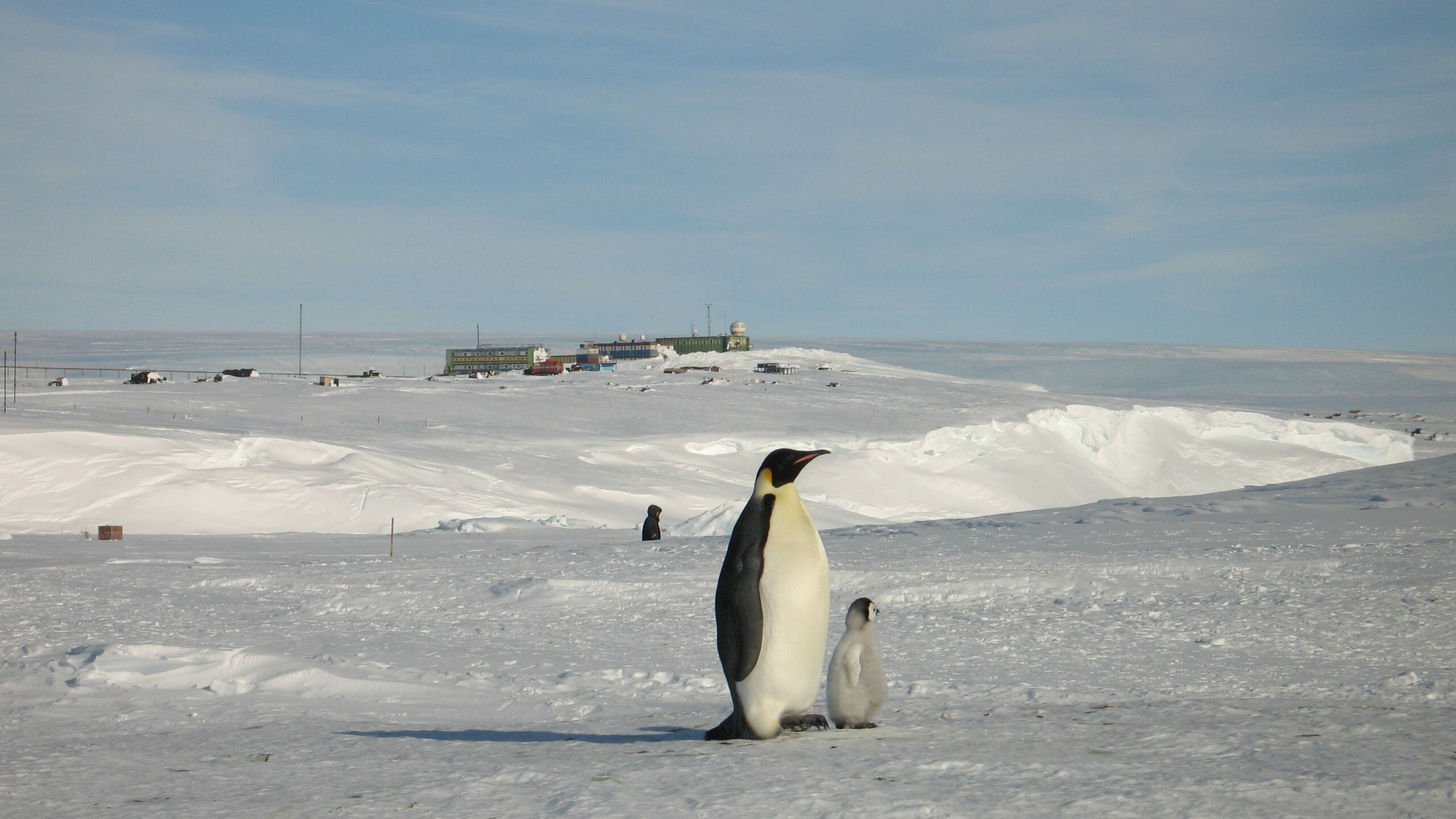 «Движение за экологию ДОМ» получило премию за развитие Арктики на Международной конференции