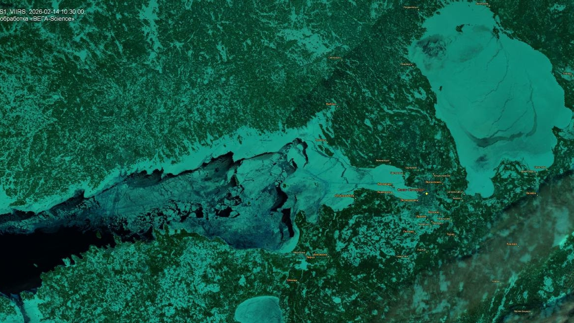Финский залив во льду: аномальные морозы в Петербурге сфотографировали из космоса