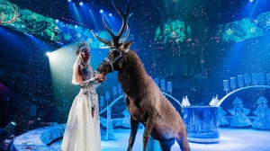 В Петербурге состоялась премьера шоу Гии Эрадзе «Королевский цирк»