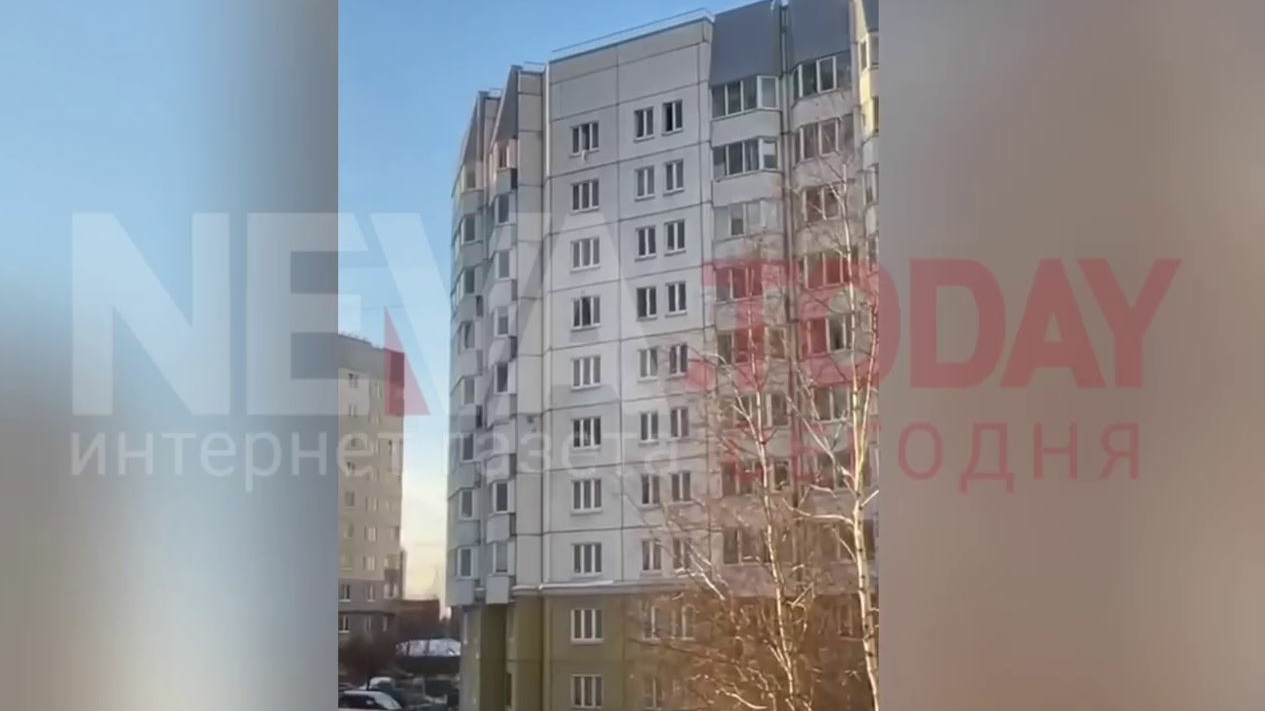 Мать упавшего с 10 этажа малыша на Богатырском проспекте судима и имеет административку