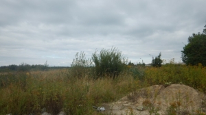 У КПО «Волхонка» сдают в аренду участок под склад: 25 «соток» за 2 млн