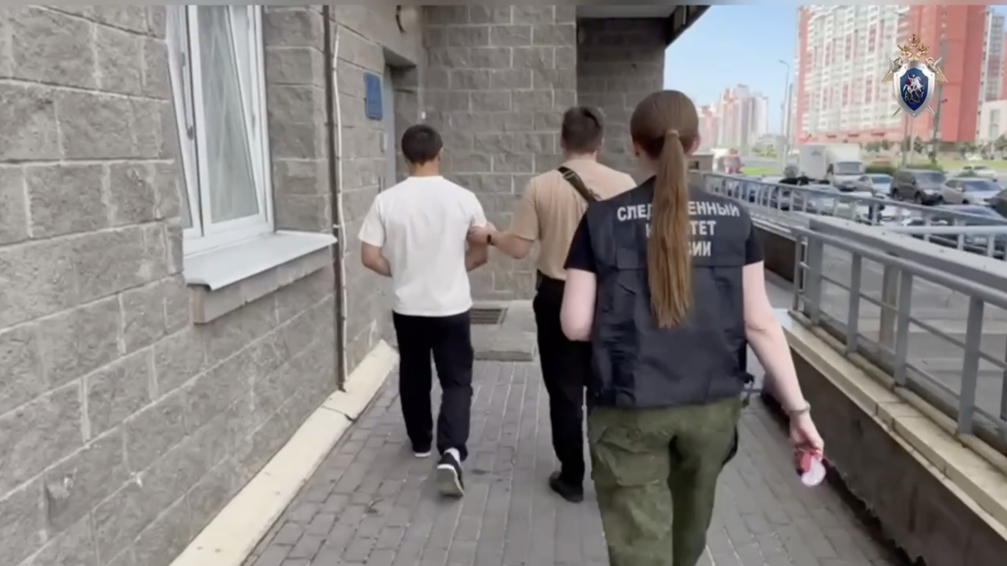 Подросток-насильник проведет в колонии 8 лет за нападения в Красном Селе