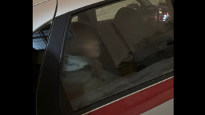 Судьба 13-летней жительницы Ленобласти: она потерялась на выходных