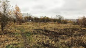 Участок на Ваське, где должны были построить кампус СПбГУ, продает «Газпром»