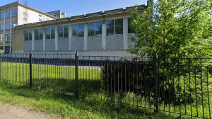 Дети выбежали из школы №160 в Красногвардейском: что происходит?