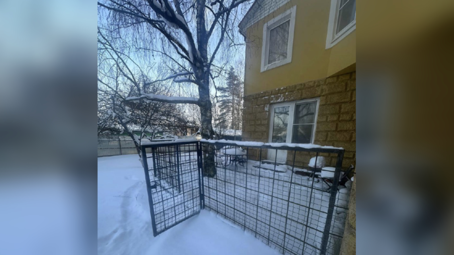 Пансионат в Горелово могут закрыть из-за нарушений прав пенсионеров и инвалидов