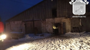 Пожар на ферме под Петербургом унес жизни 30 коров и 20 баранов