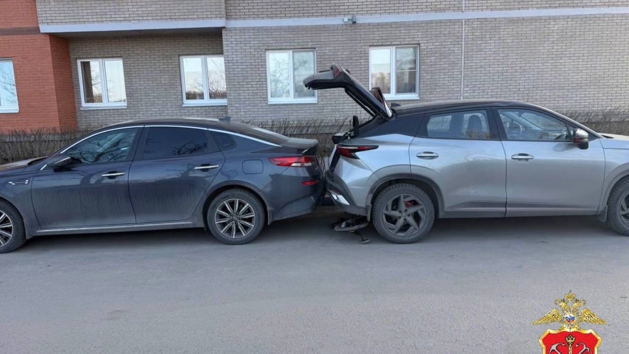 Отец сбил своего пятилетнего ребенка по неосторожности в Невском районе Петербурга