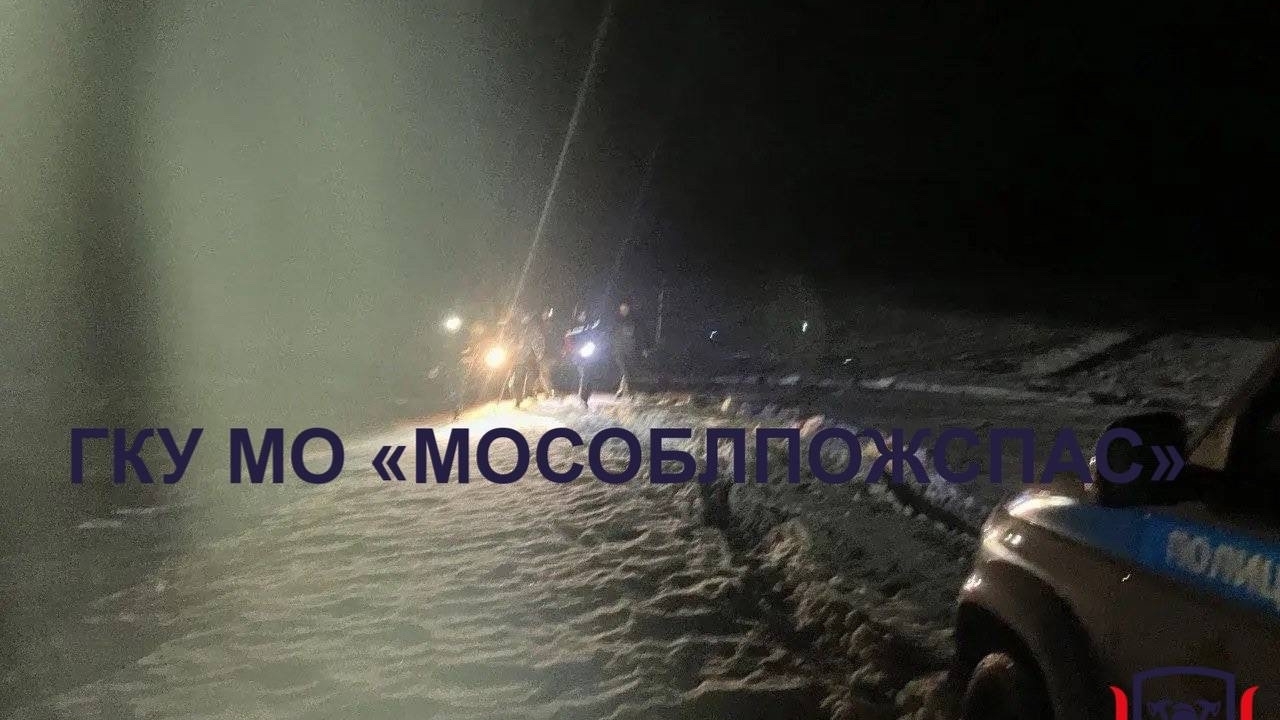 ППС и спасатели помогли подростку не замерзнуть после ночи в лесу Московской области